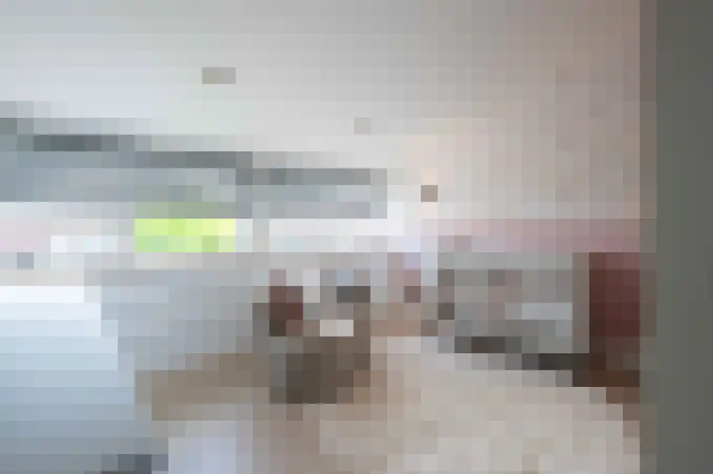 Weigeliastraat 9 Hoeven thumbnail 39