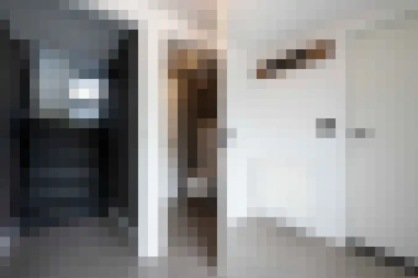 Weigeliastraat 9 Hoeven thumbnail 7