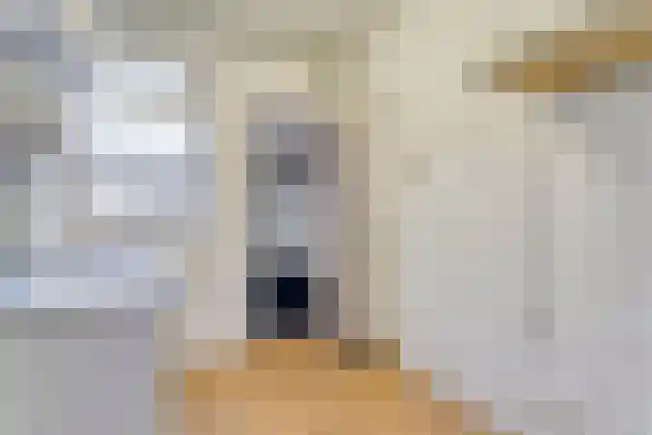 Weigeliastraat 9 Hoogeveen thumbnail 10