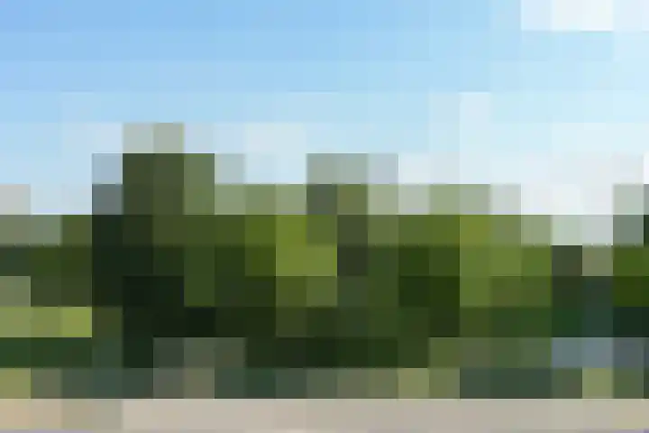 Weijbroekweg 42 Nijmegen thumbnail 29