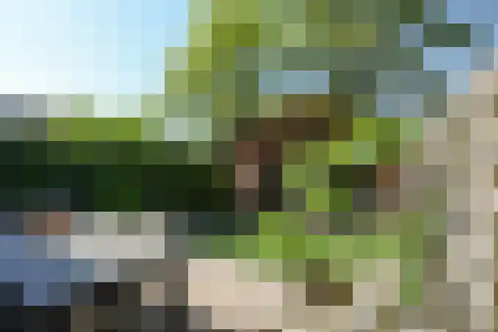 Weijbroekweg 42 Nijmegen thumbnail 33