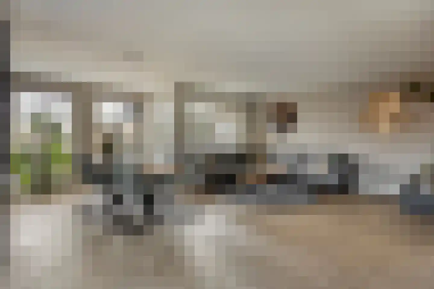 Weijen 1 c Nistelrode thumbnail 12