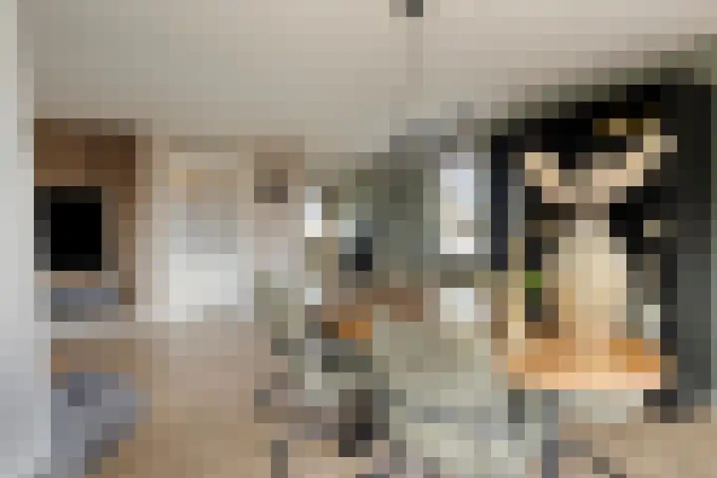 Weijen 1 c Nistelrode thumbnail 18