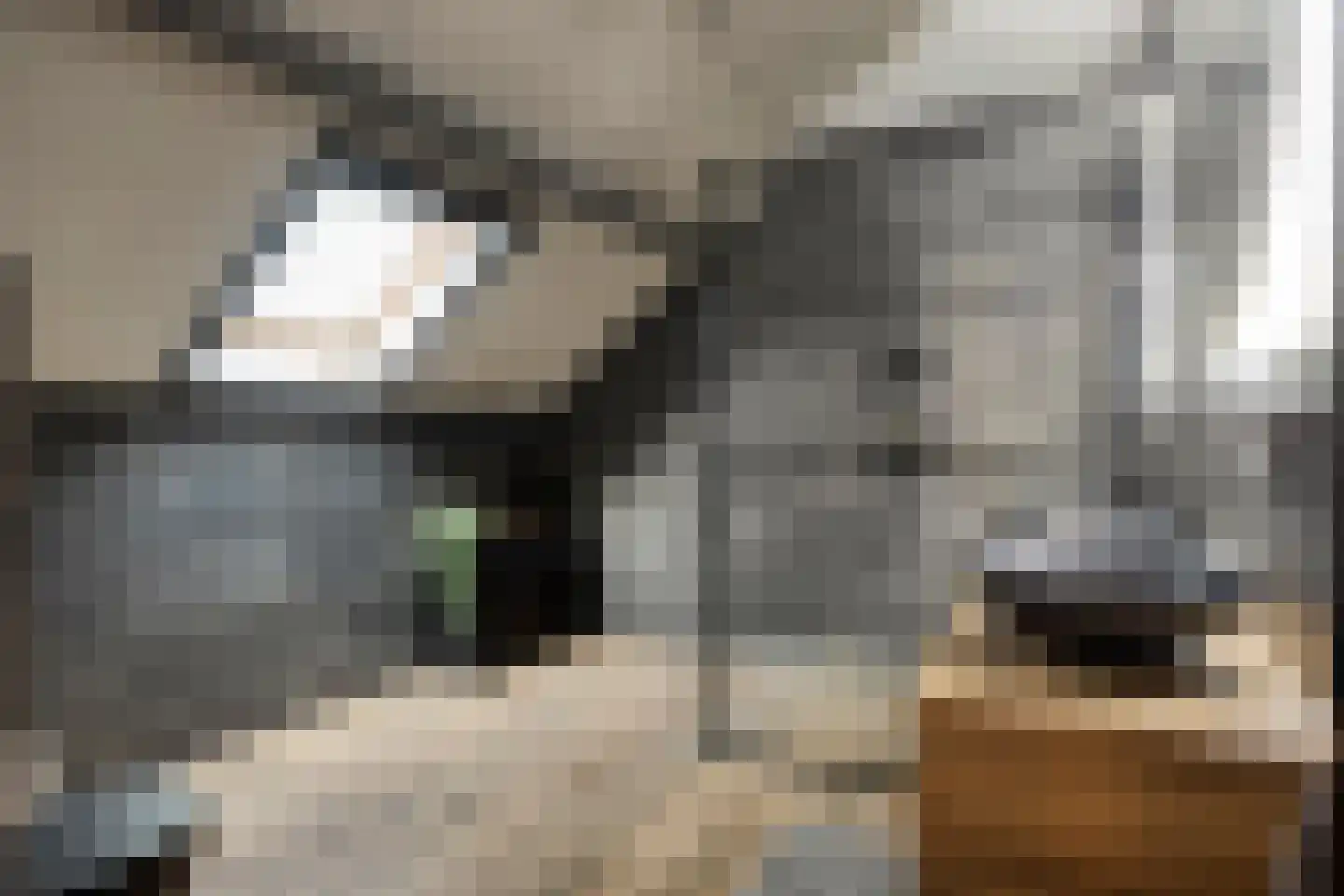 Weijen 1 c Nistelrode thumbnail 31