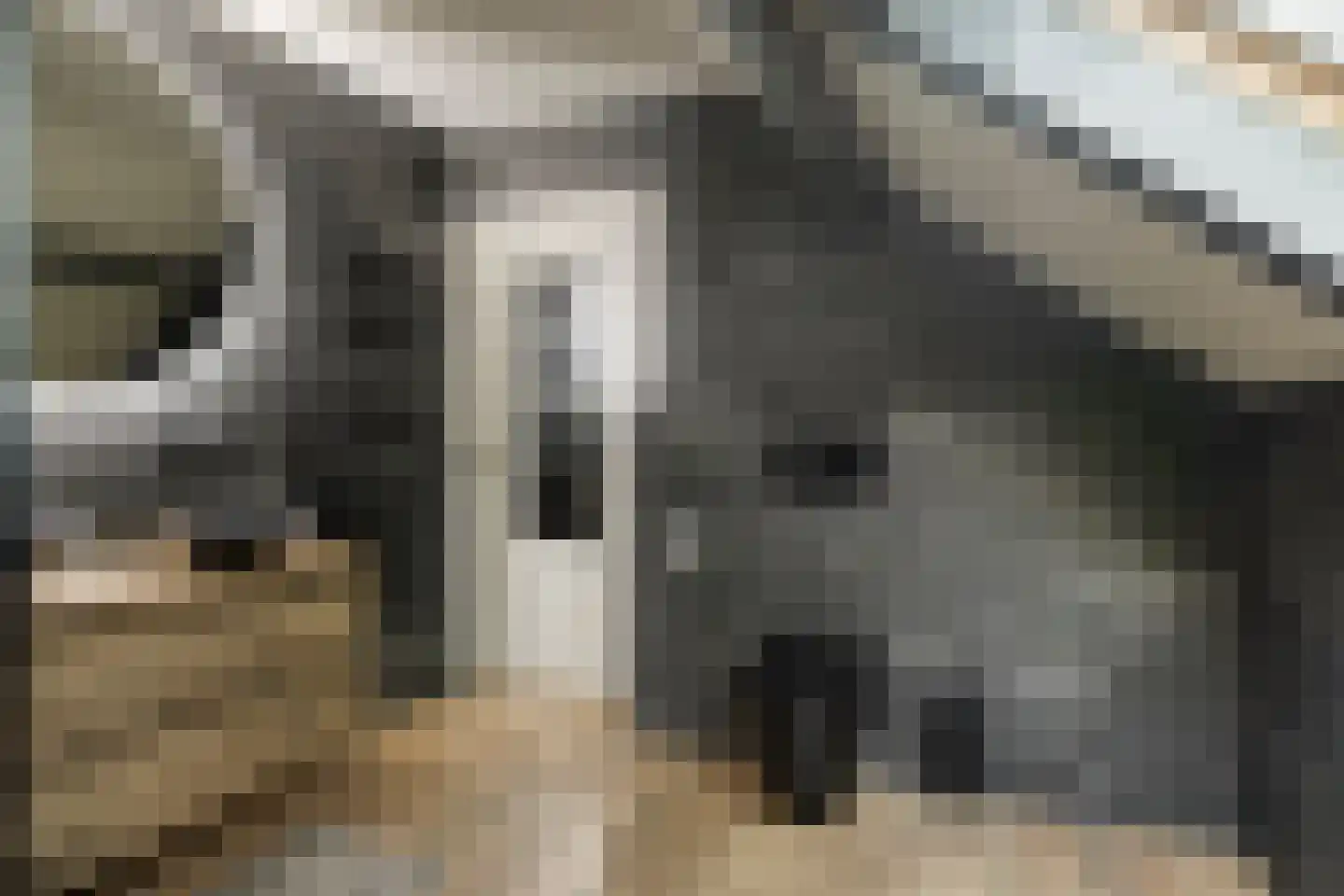 Weijen 1 c Nistelrode thumbnail 32