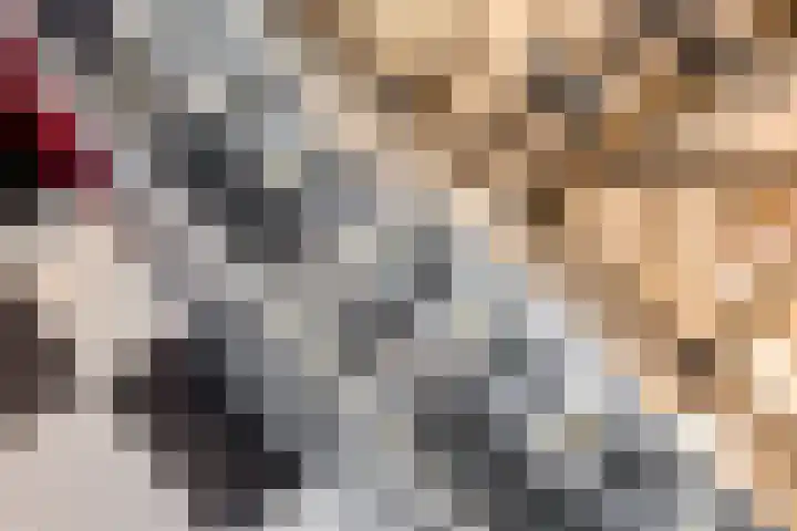 Weijen 10 Nistelrode thumbnail 11