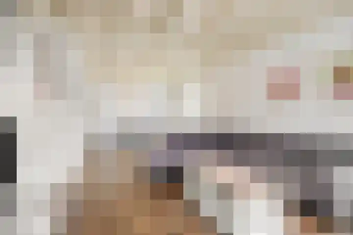 Weijen 10 Nistelrode thumbnail 15