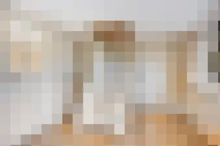 Weijen 10 Nistelrode thumbnail 33