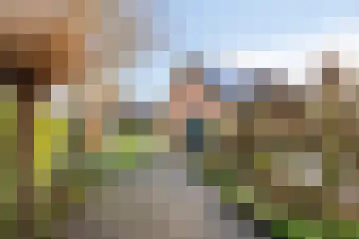 Weijen 10 Nistelrode thumbnail 58