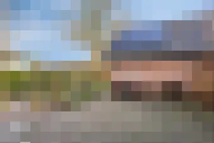 Weijen 10 Nistelrode thumbnail 60