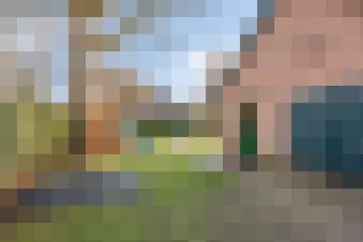 Weijen 10 Nistelrode thumbnail 61