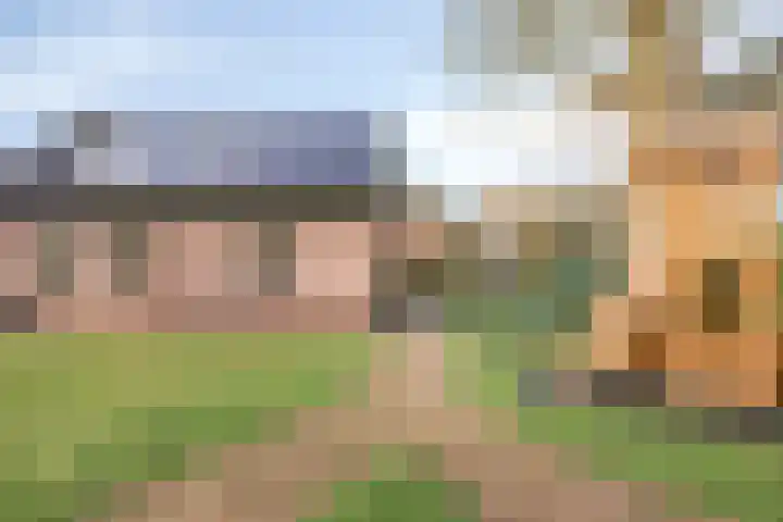 Weijen 10 Nistelrode thumbnail 63