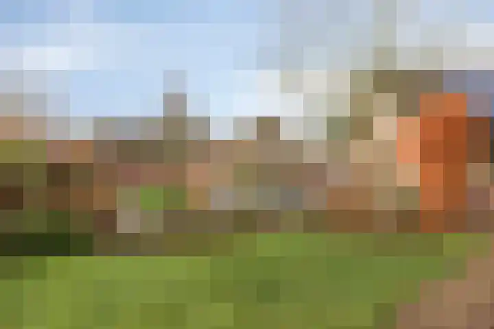 Weijen 10 Nistelrode thumbnail 67