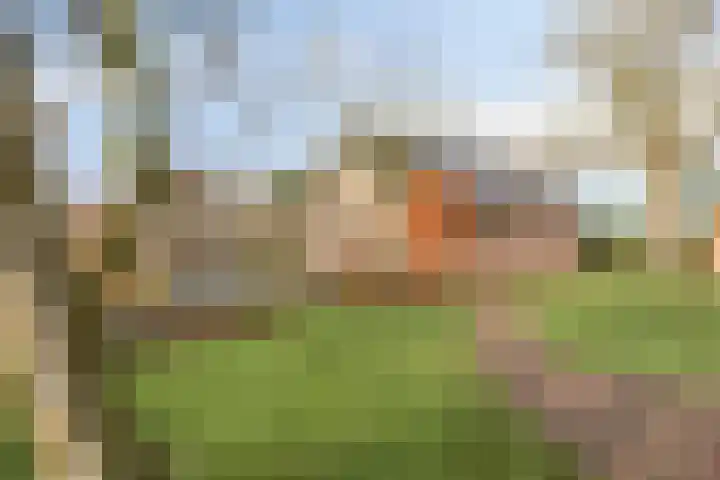 Weijen 10 Nistelrode thumbnail 68