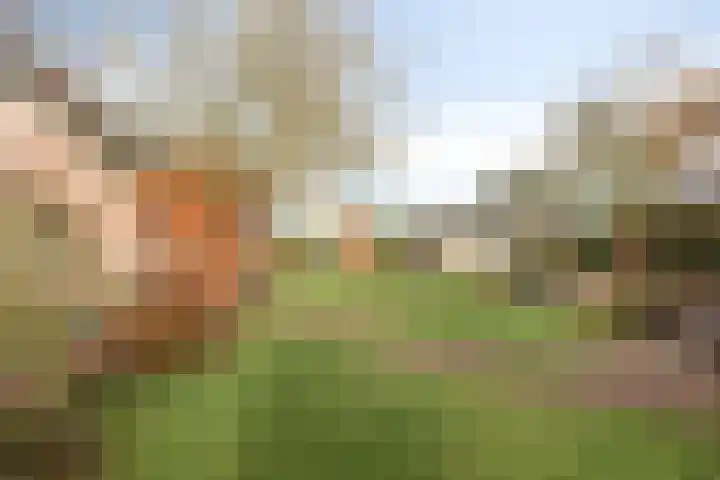 Weijen 10 Nistelrode thumbnail 69