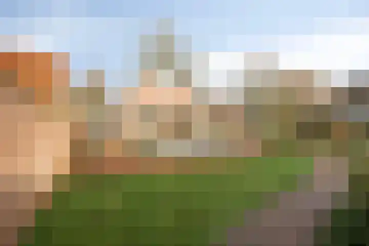 Weijen 10 Nistelrode thumbnail 70