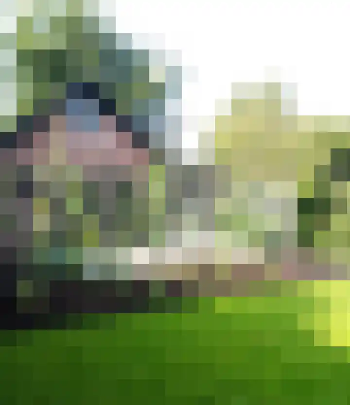 Weijen 10 Nistelrode thumbnail 71