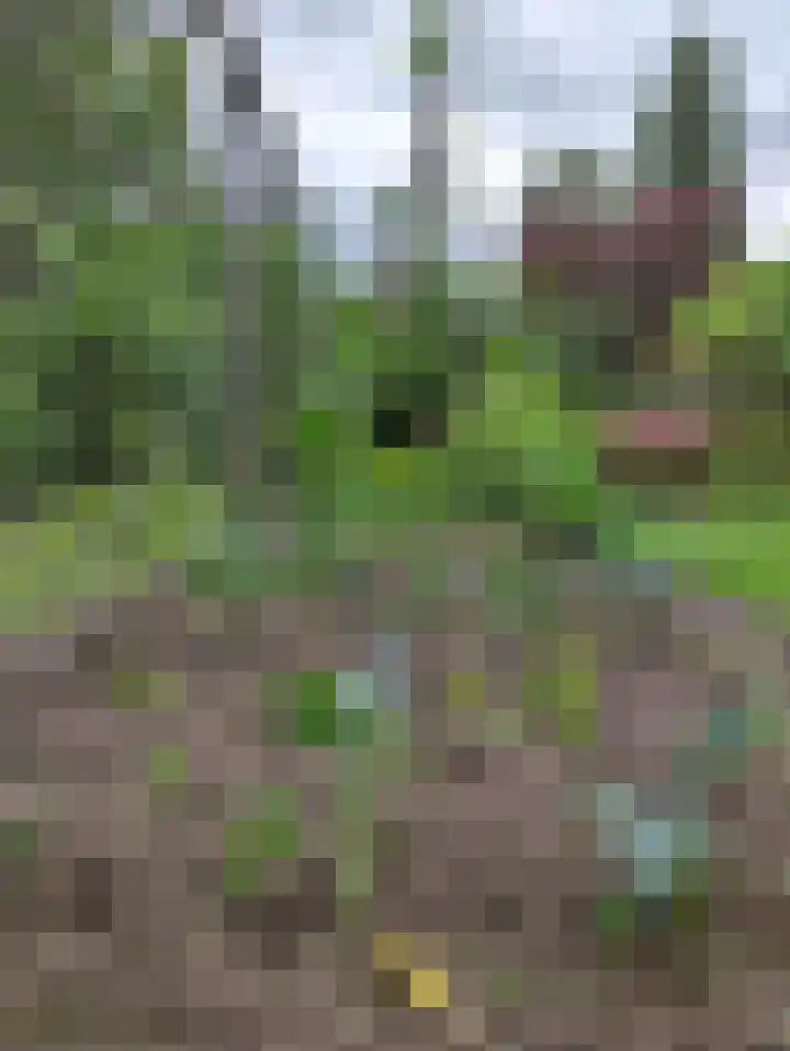 Weijen 10 Nistelrode thumbnail 73