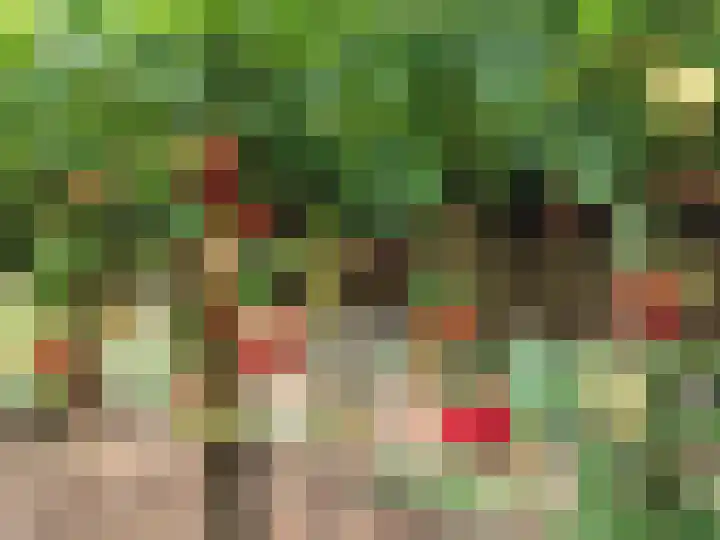 Weijen 10 Nistelrode thumbnail 75