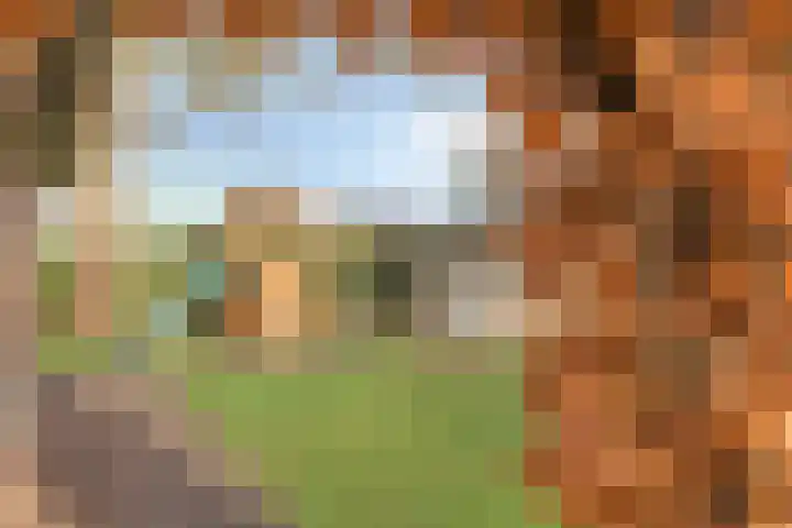 Weijen 10 Nistelrode thumbnail 80