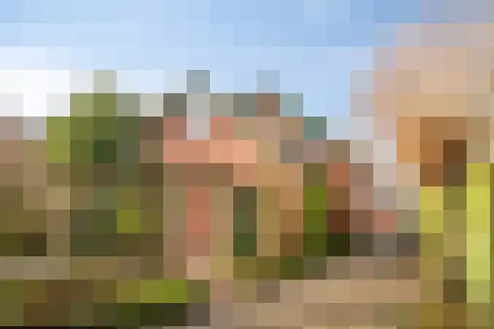 Weijen 10 Nistelrode thumbnail 81