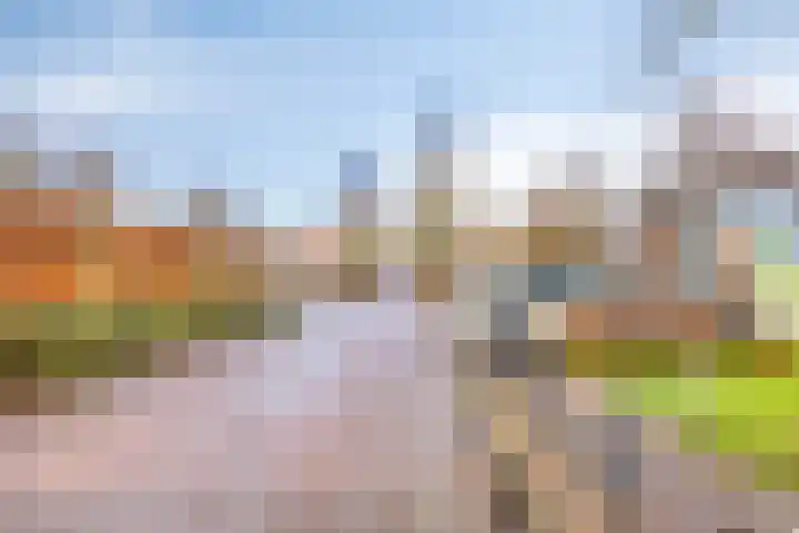 Weijen 10 Nistelrode thumbnail 82