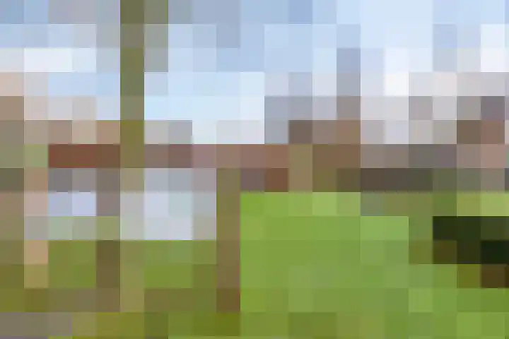 Weijen 10 Nistelrode thumbnail 84