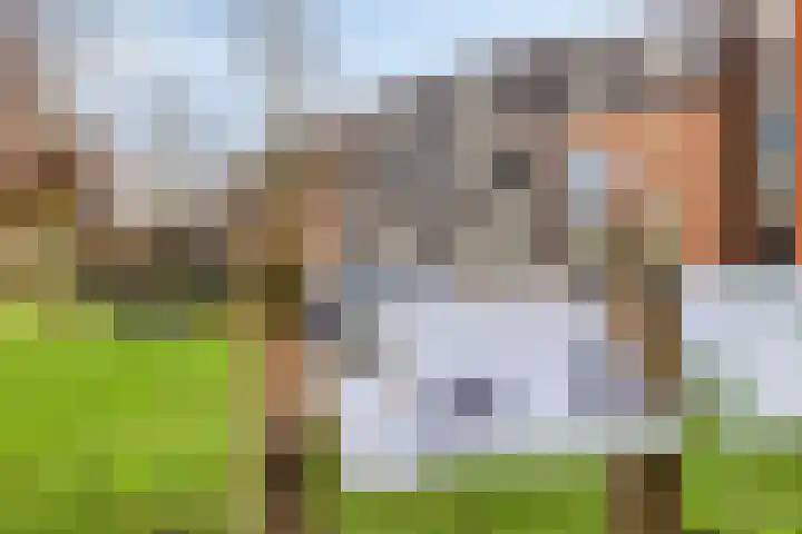 Weijen 10 Nistelrode thumbnail 85