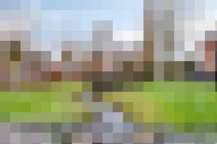 Weijen 10 Nistelrode thumbnail 86