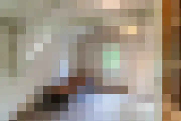 Weijen 15 Nistelrode thumbnail 26