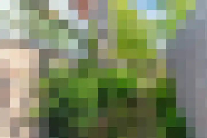 Weijen 15 Nistelrode thumbnail 29