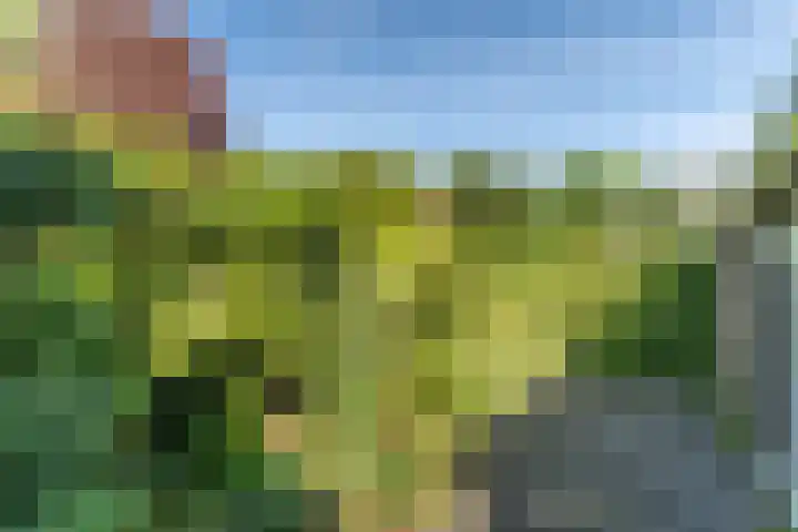 Weijen 15 Nistelrode thumbnail 30