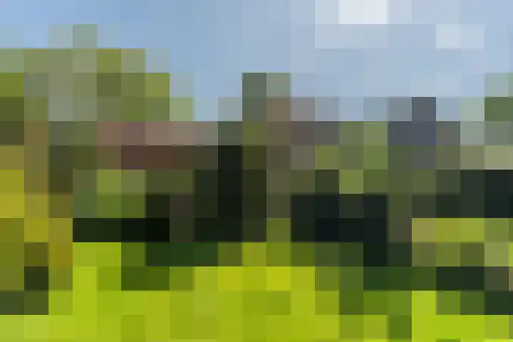 Weijen 15 Nistelrode thumbnail 33