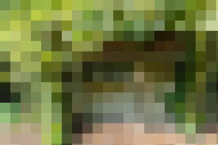 Weijen 15 Nistelrode thumbnail 34