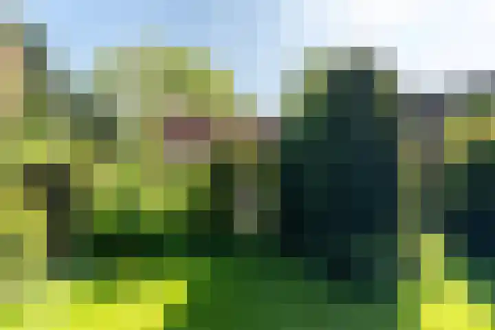Weijen 15 Nistelrode thumbnail 35