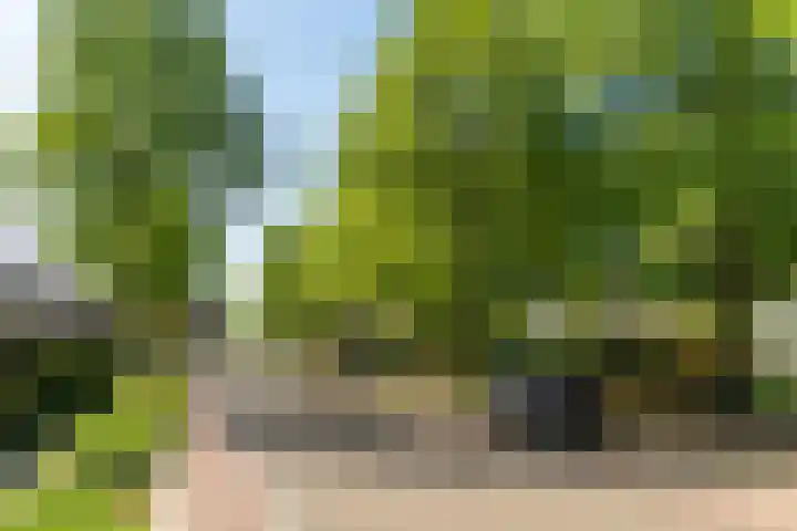 Weijen 15 Nistelrode thumbnail 36