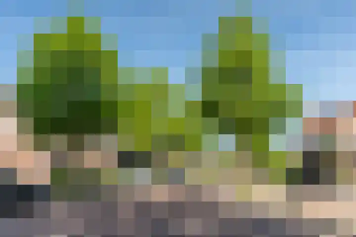 Weijen 15 Nistelrode thumbnail 37