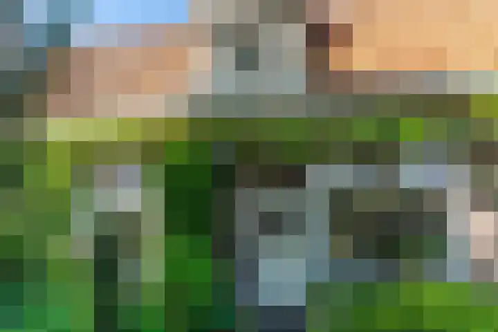 Weijen 15 Nistelrode thumbnail 4