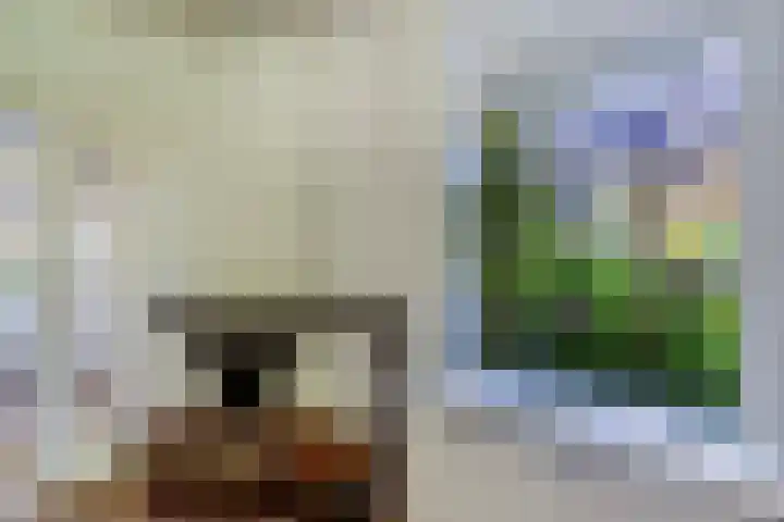 Weijen 15 Nistelrode thumbnail 5