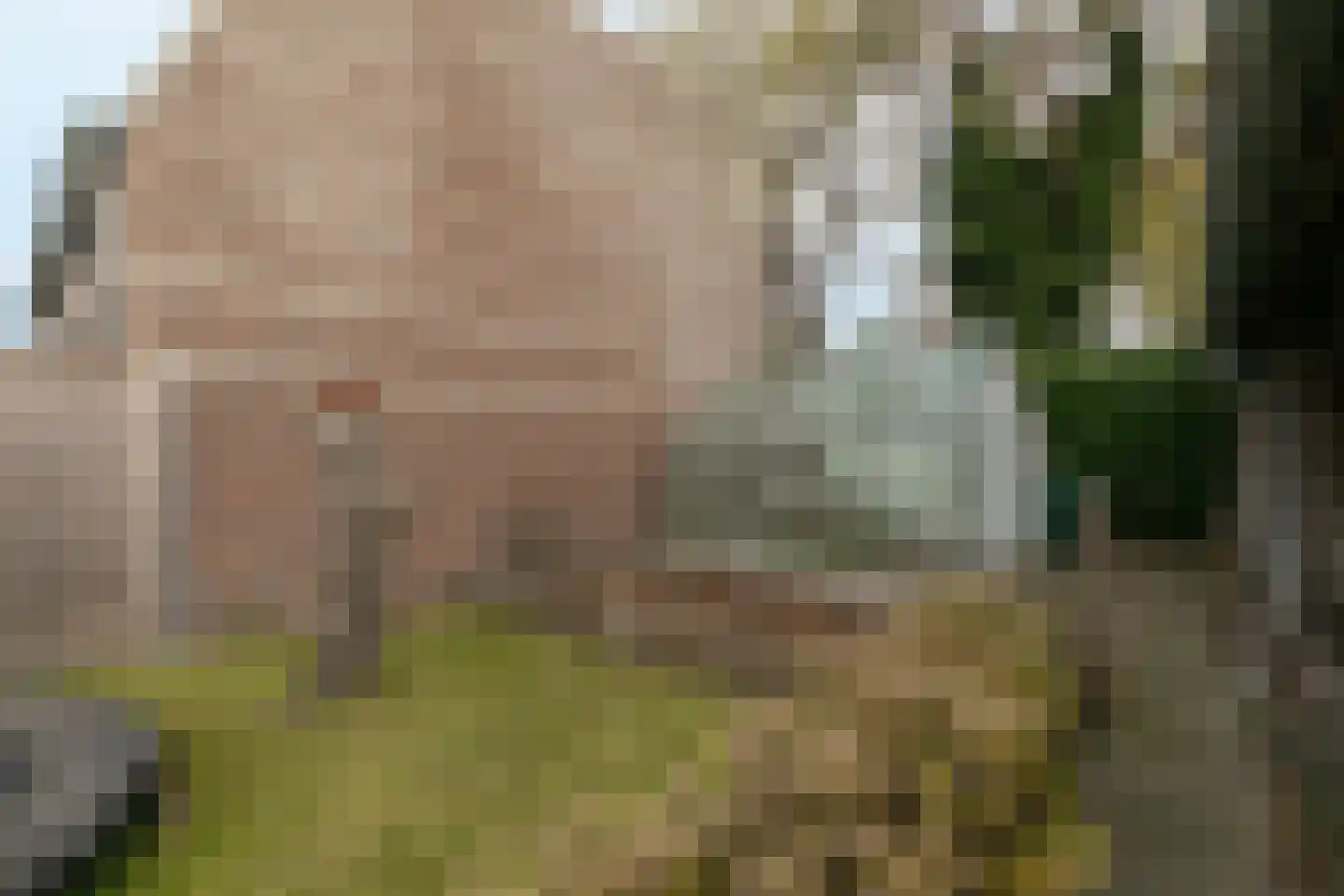 Weijen 30 Nistelrode thumbnail 63