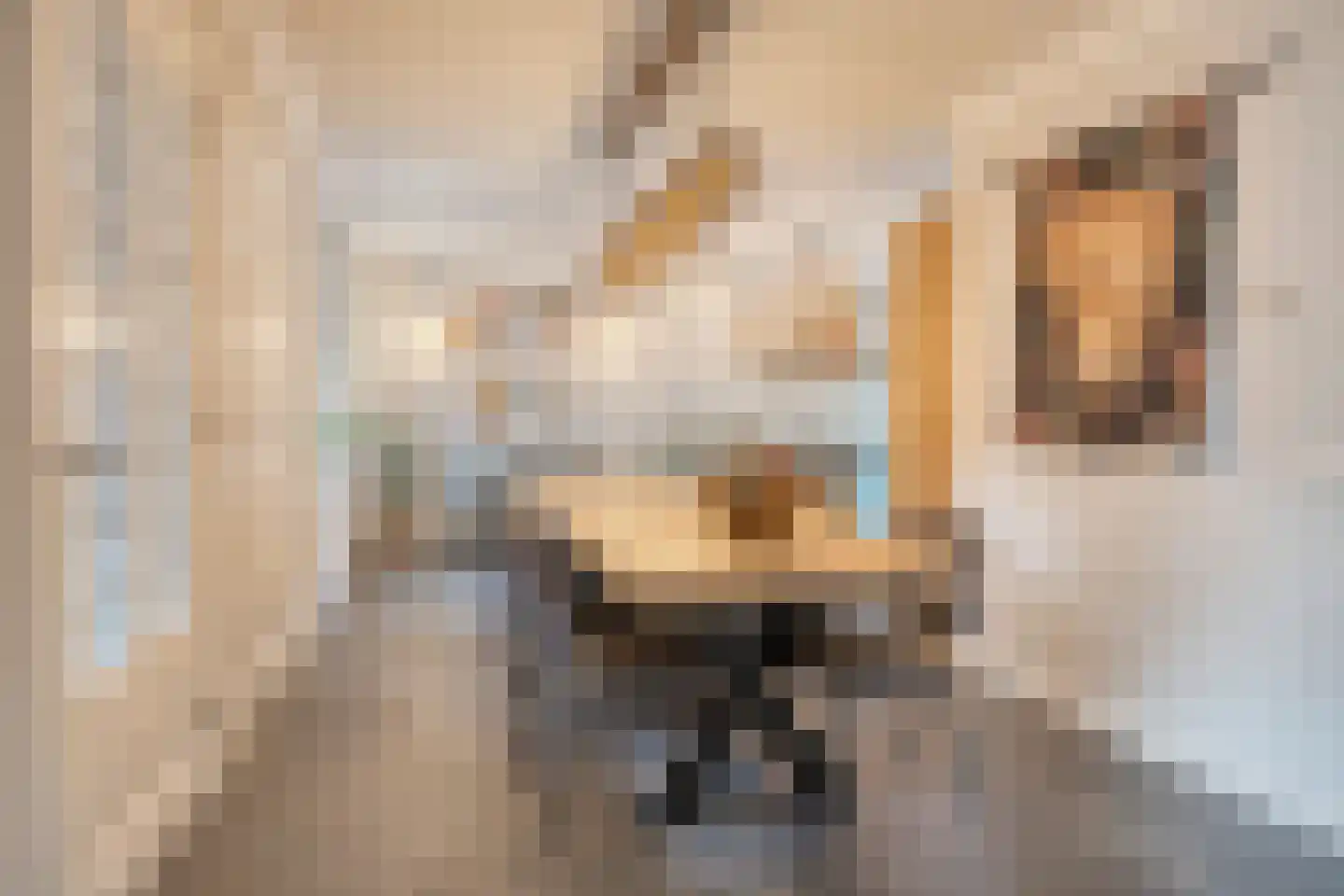 Weijen 40 a Nistelrode thumbnail 18