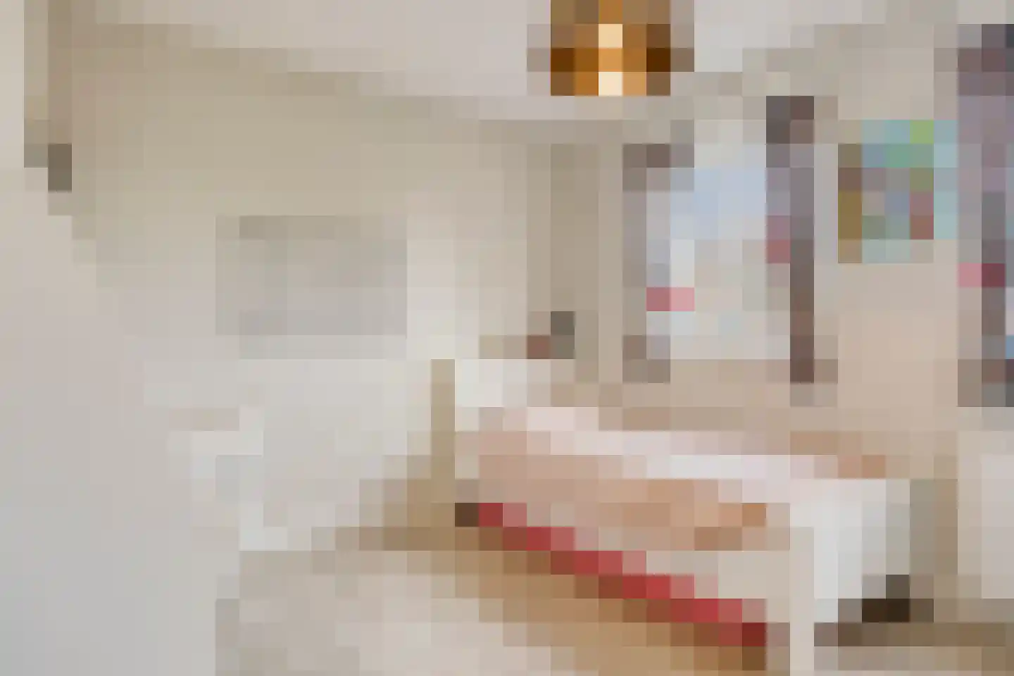 Weijen 40 a Nistelrode thumbnail 23