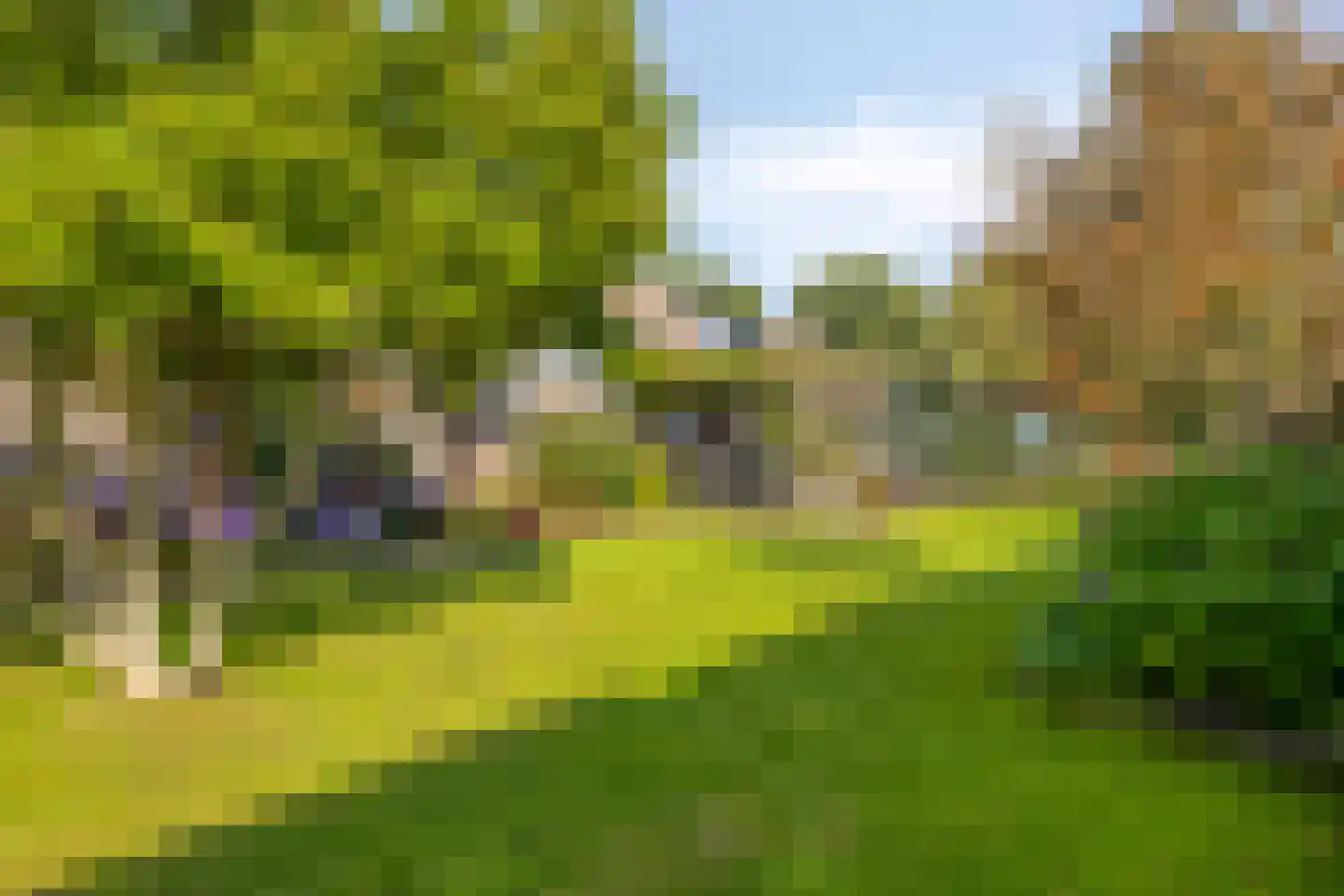Weijen 40 a Nistelrode thumbnail 41