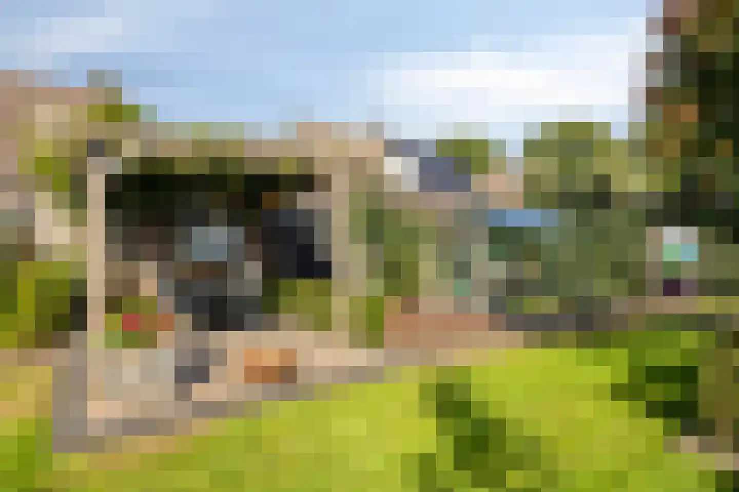 Weijen 40 a Nistelrode thumbnail 44
