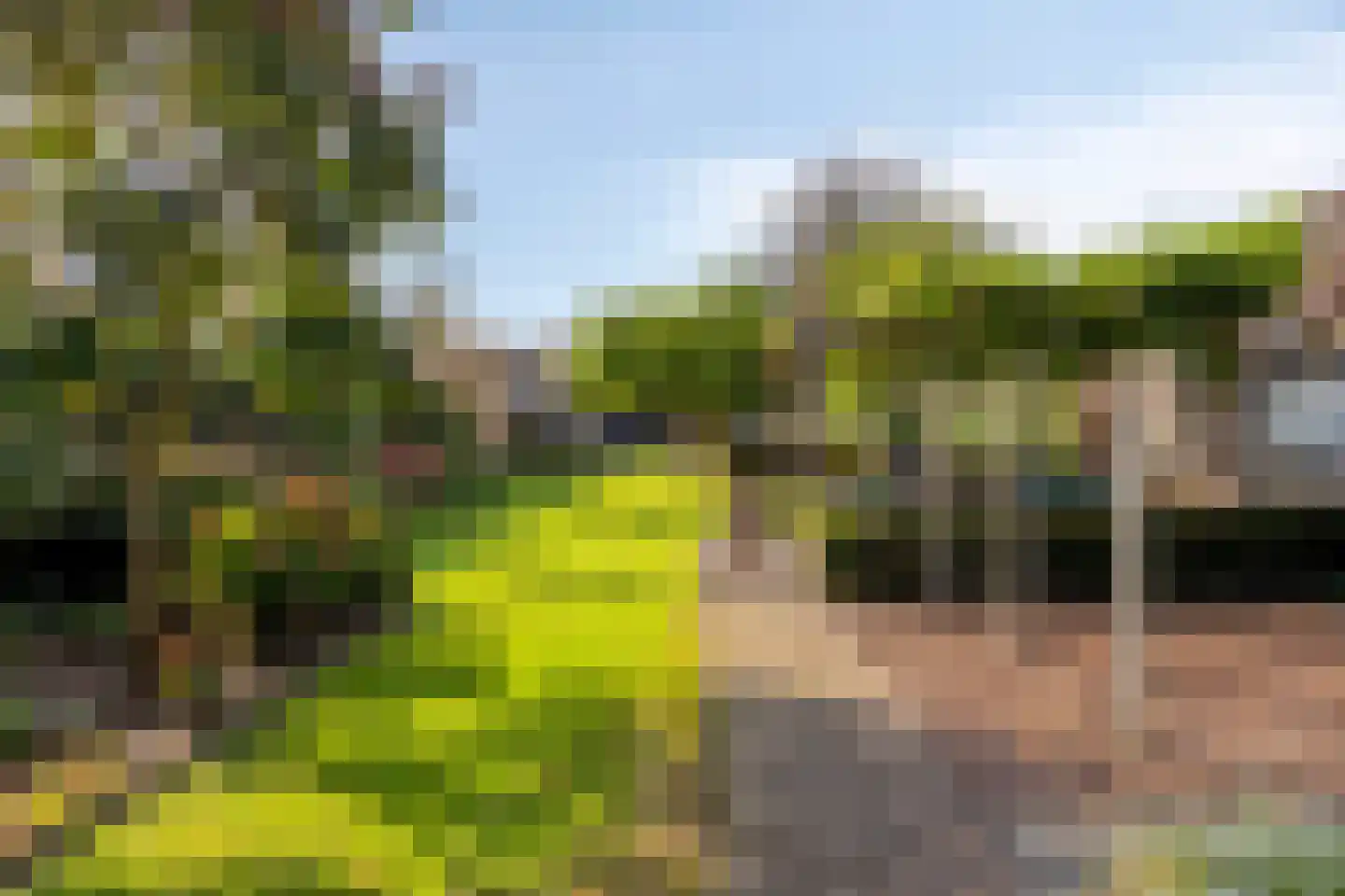 Weijen 40 a Nistelrode thumbnail 45