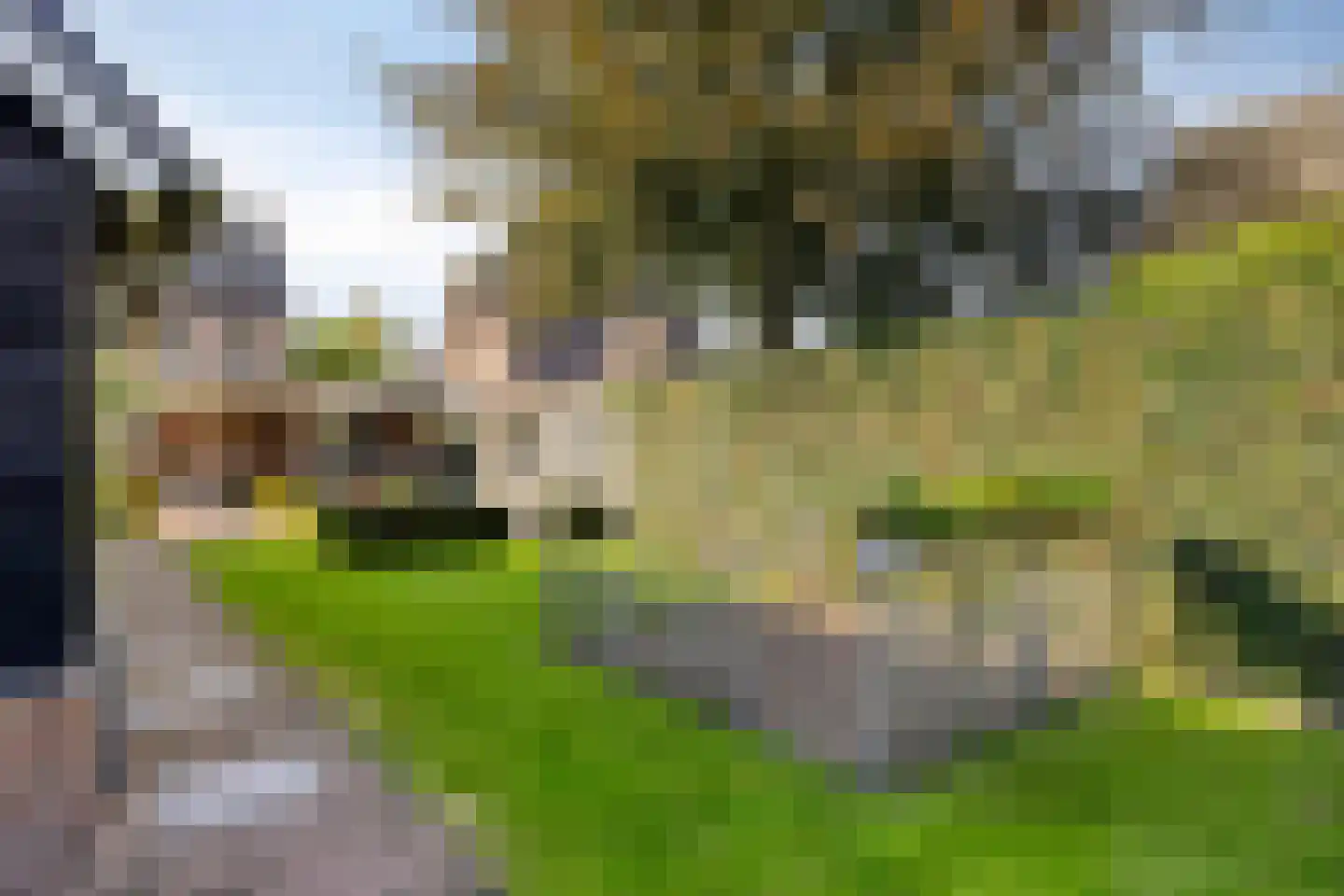 Weijen 40 a Nistelrode thumbnail 46