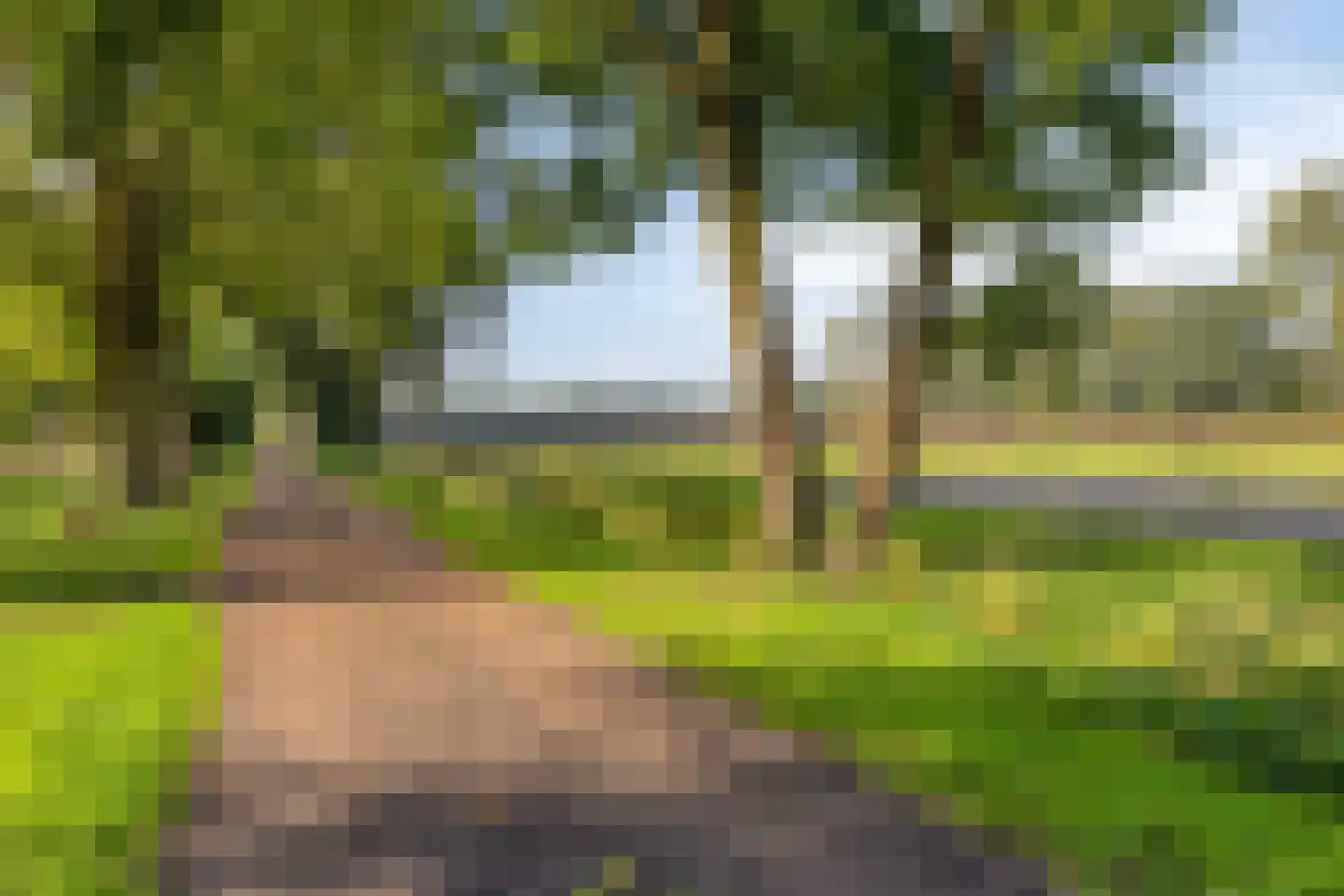 Weijen 40 a Nistelrode thumbnail 56