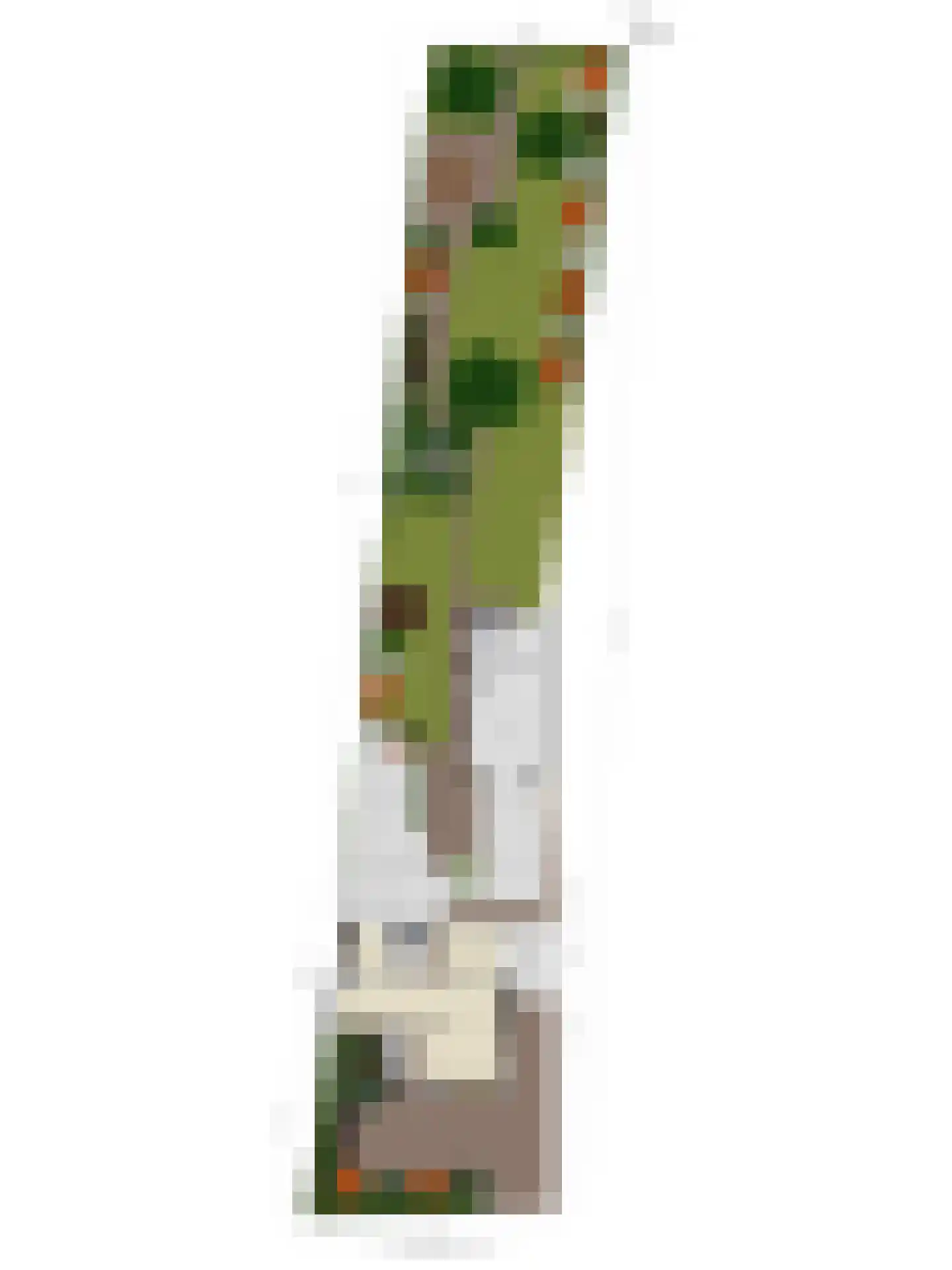 Weijen 40 a Nistelrode thumbnail 63