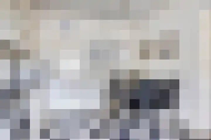 Weijen 67 Nistelrode thumbnail 11