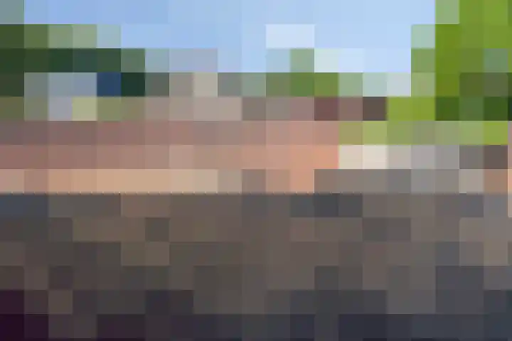 Weijen 67 Nistelrode thumbnail 30